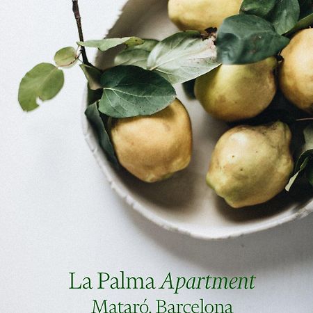 Apartamento Atico En El Casco Antiguo Mataro Ngoại thất bức ảnh